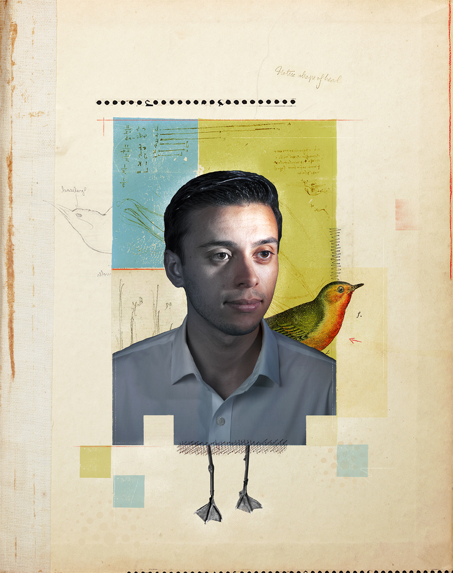APF-Birdman-f