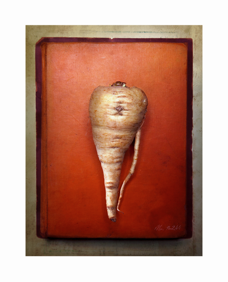APF-Parsnip-2